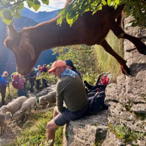 Authentiek Leiderschap